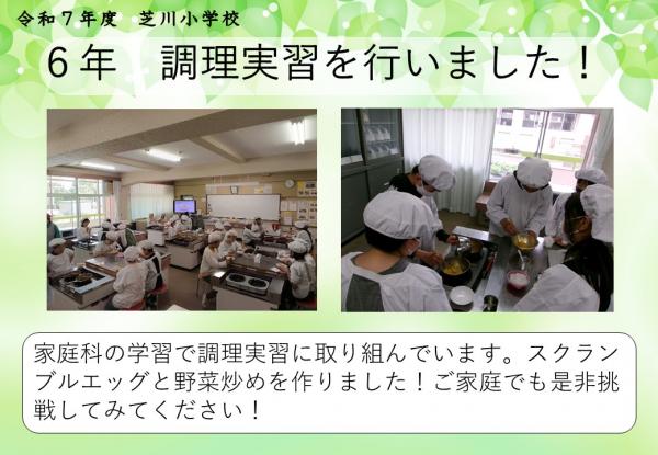 6年　家庭科
