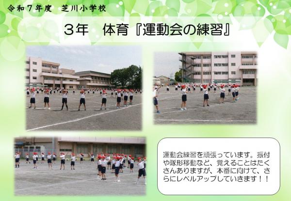 3年　体育