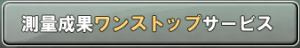 測量成果ワンストップサービス