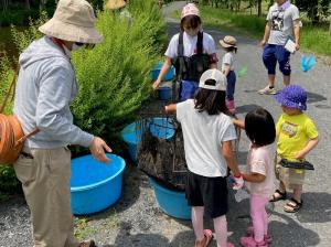 アメリカザリガニの駆除作業