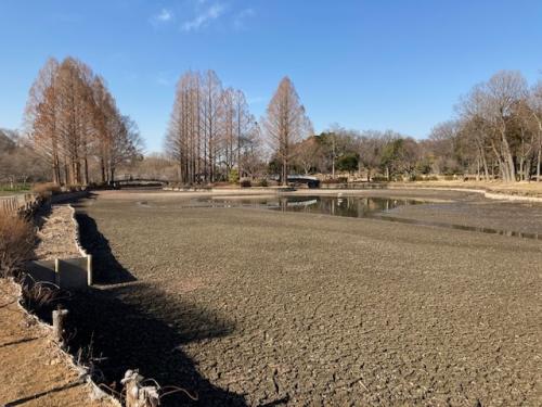 池干しの様子