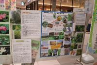 荒川の自然を守る会