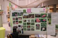 原市沼を愛する会