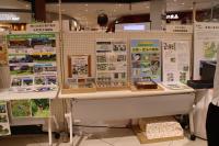 自然環境観察会