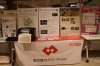 東京電力パワーグリッド