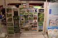 上尾の自然を守る教職員の会