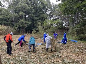 サラソウトラスト地保全活動