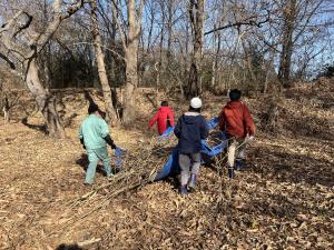 サラソウトラスト地管理作業
