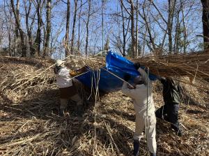 サラソウトラスト地管理作業