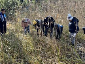 サラソウトラスト地管理作業