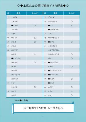 観察できた野鳥