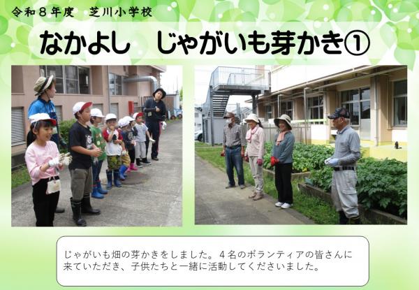 なかよし　じゃがいも