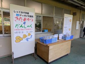 ジャガイモ販売1