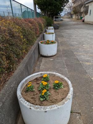 花5